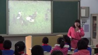 乡下人家教学视频,走进田园生活的诗意画卷